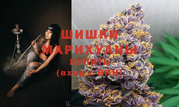 дмт Алзамай
