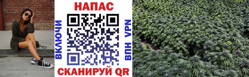 Шишки марихуана White Widow Павловский Посад
